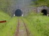 Tunel – linia 245 ,(5) Ĺwierki Dolne - Bartnica