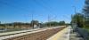 Jaśkowice (2026-05-03, fot. 4)
