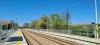 Zelczyna (2026-05-03, fot. 5)