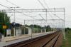 Zastów (2026-05-07, fot. 14)