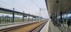 Pyrzowice Lotnisko (2026-04-15, fot. 3)