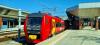 SD85-003 Marek
